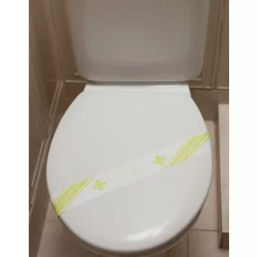 Toilet Seat Band